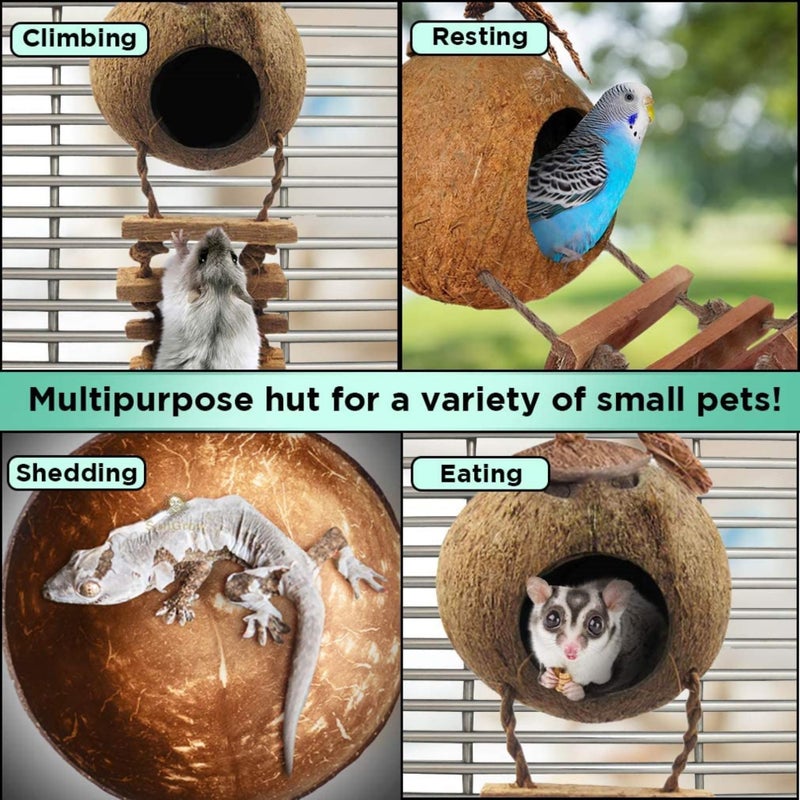 SunGrow Hermit Crab Coco Hut with Ladder, Hamster & Hermit Crab Hideout, Coconut Hide for Reptiles, Crab Cage Climbing Toys, Coconut Shell Mouse House, Habitat Tank Accessories, 5" - Image 5